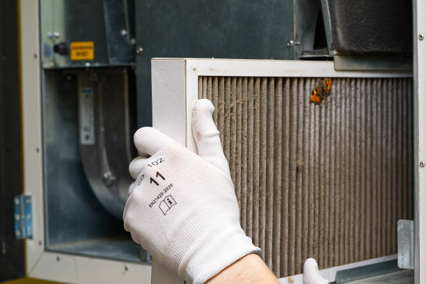 Best HVAC Maintenance and Cleaning  in Wellton, AZ